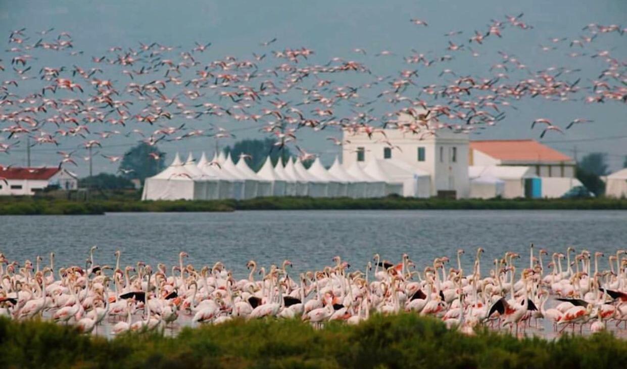 Albergue Delta L'Eucaliptus Экстерьер фото